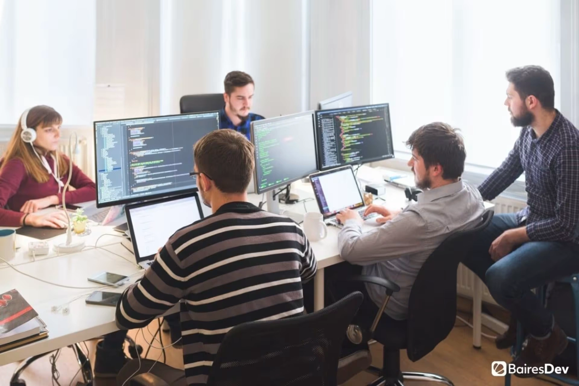 software developer
